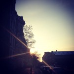 hide and seek sun