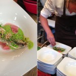 fish&-stefan_feature