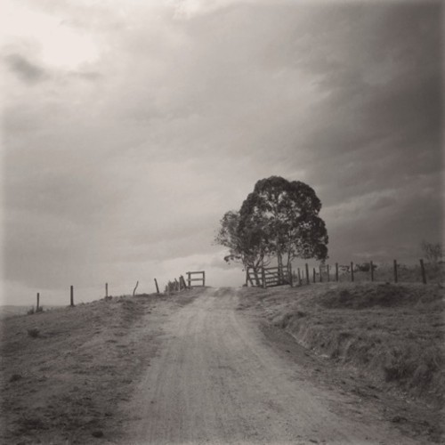 robot koch here with me featuring susie suh