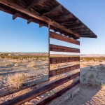 lucid stead by philip k smith_5